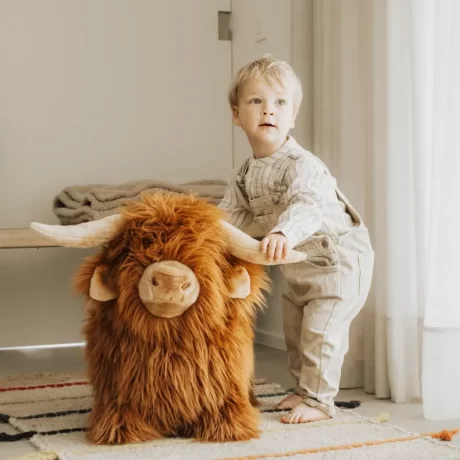 WILD AND SOFT SOFT BOUNCY HOOGLANDKOE